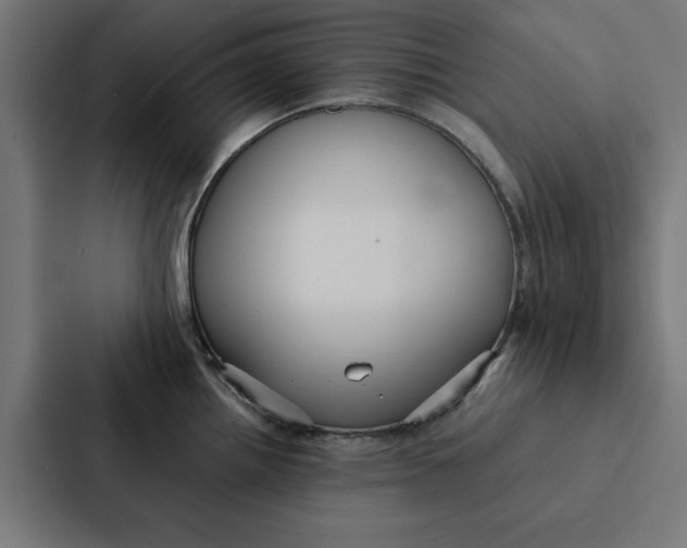 X0000087331242200705112150