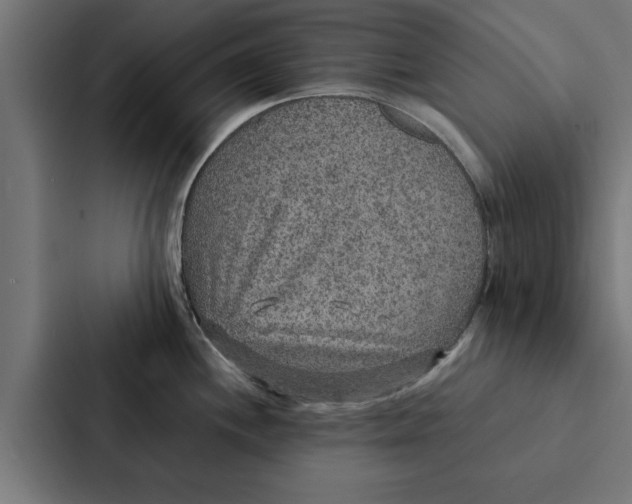 X0000087331244200705112150