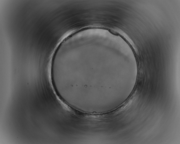 X0000087331245200705112150
