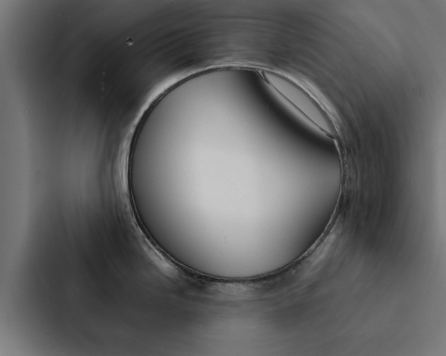 X0000087331246200705112150