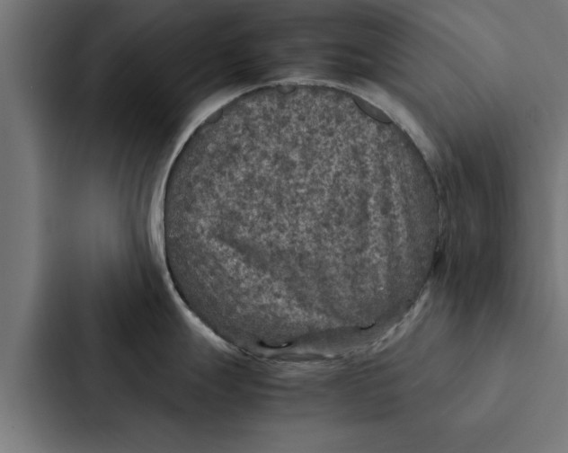 X0000087331247200705112150