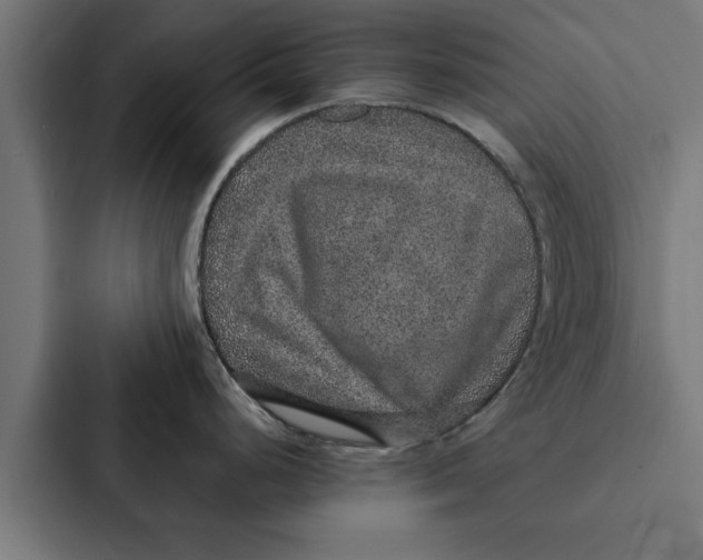 X0000087331248200705112150