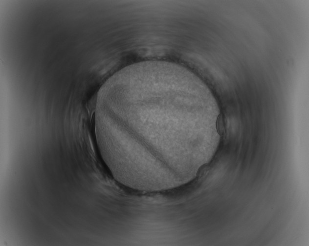 X0000087331250200705112150