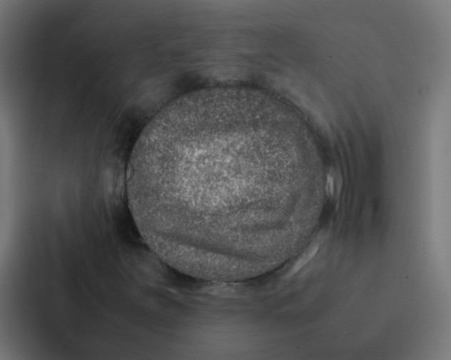 X0000087331251200705112150