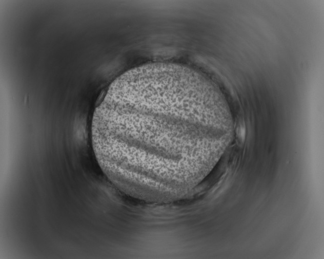 X0000087331252200705112150