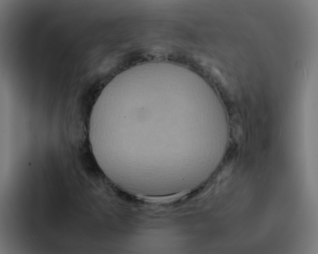 X0000087331253200705112150