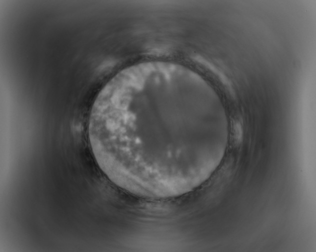 X0000087331254200705112150