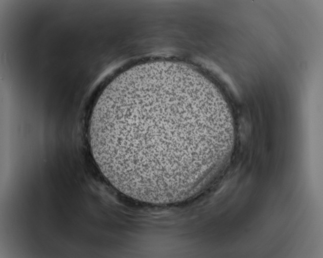 X0000087331256200705112150