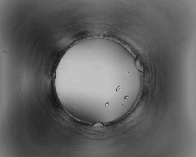 X0000087331257200705112150