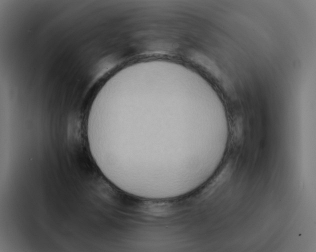 X0000087331258200705112150