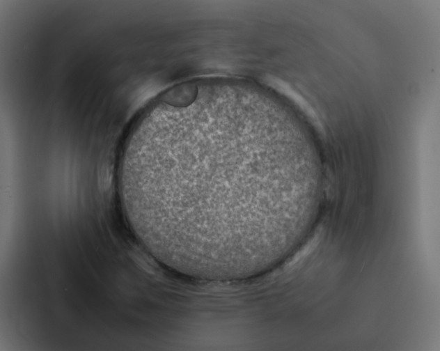 X0000087331259200705112150