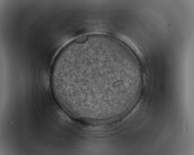 X0000087331260200705112150