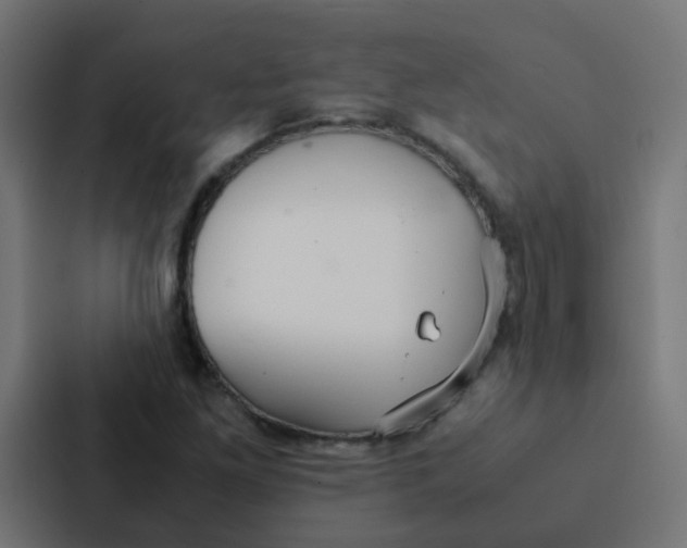 X0000087331261200705112150
