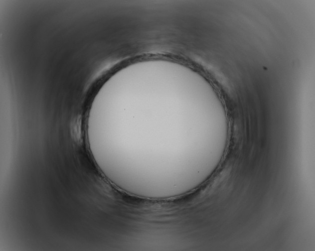 X0000087331262200705112150