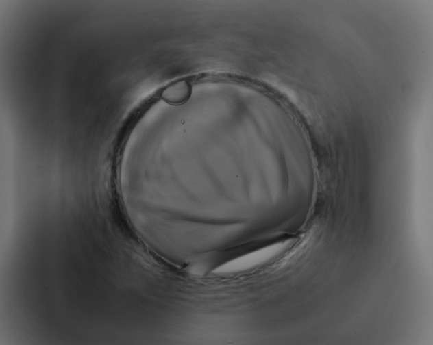 X0000087331263200705112150