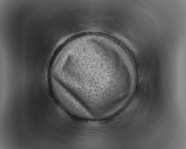 X0000087331264200705112150