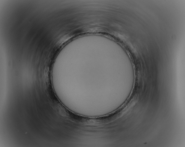 X0000087331265200705112150