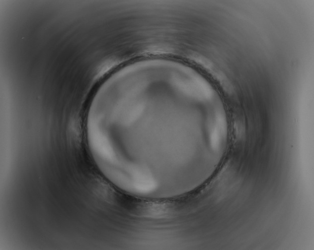 X0000087331266200705112150