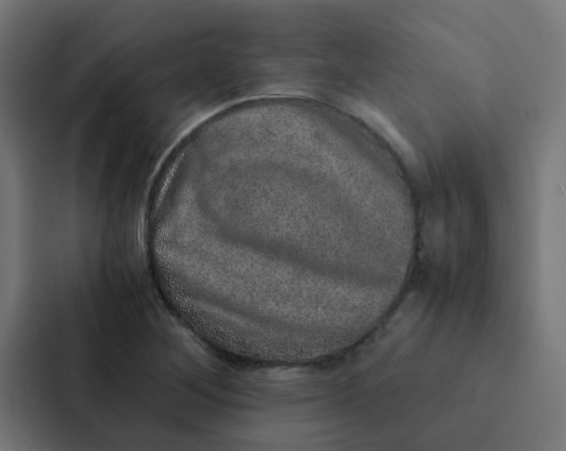 X0000087331268200705112150
