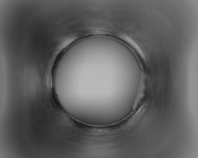 X0000087331269200705112150