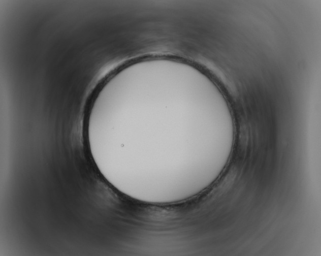 X0000087331270200705112150