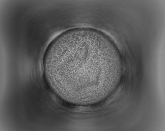 X0000087331271200705112150