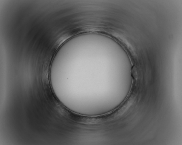 X0000087331273200705112149