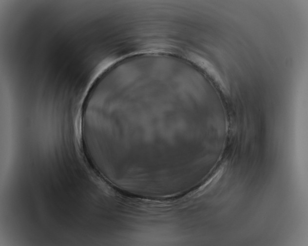 X0000087331275200705112149