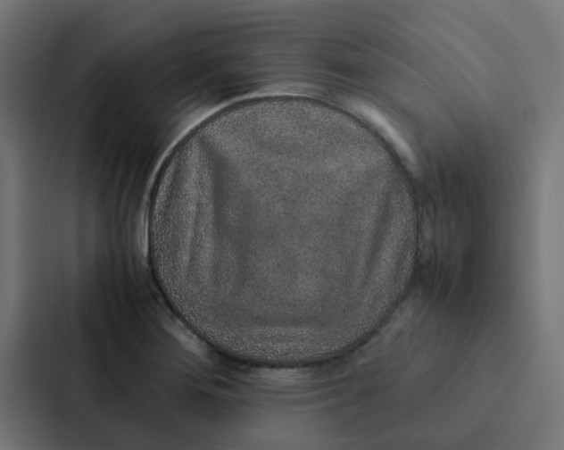 X0000087331276200705112149