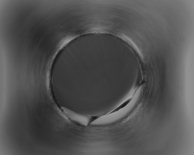 X0000087331277200705112149
