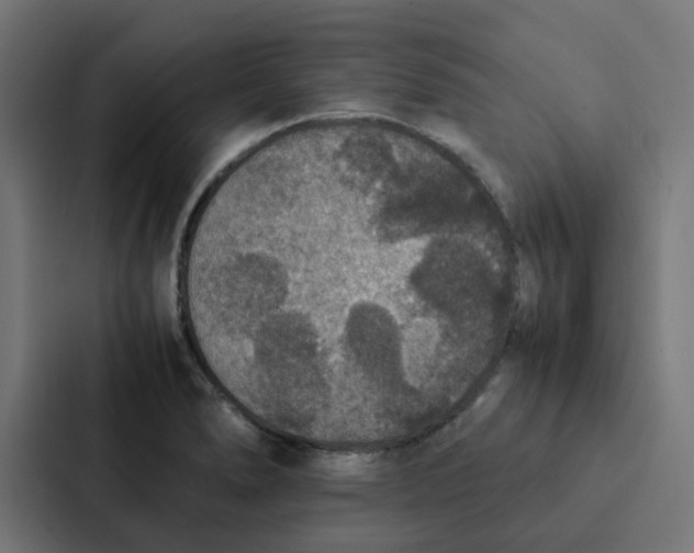 X0000087331278200705112149