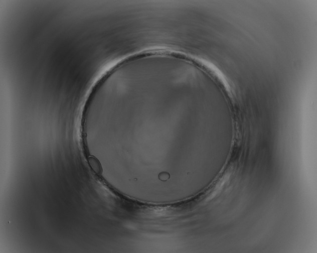 X0000087331279200705112149