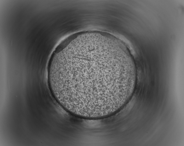 X0000087331280200705112149