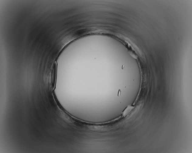 X0000087331281200705112149