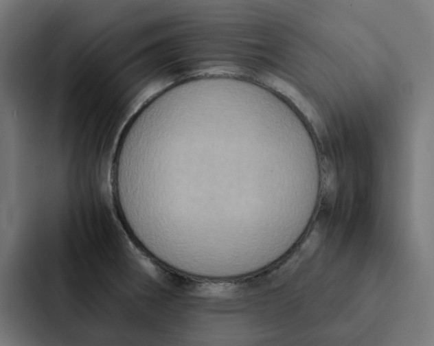 X0000087331282200705112149