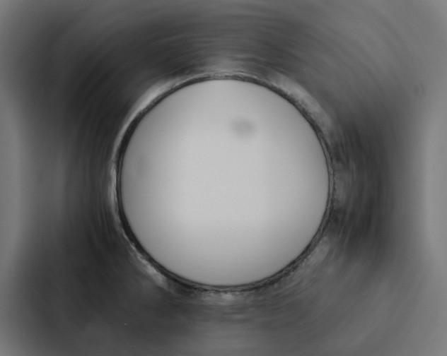 X0000087331286200705112149