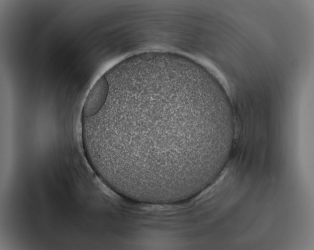 X0000087331287200705112149