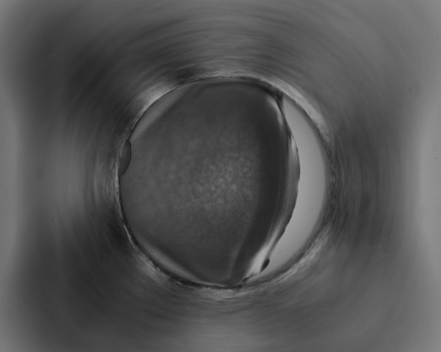X0000087331289200705112149