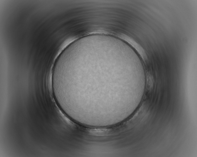 X0000087331290200705112149