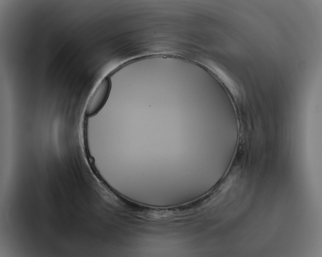 X0000087331291200705112149
