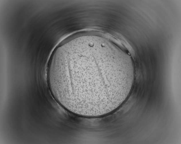 X0000087331292200705112149