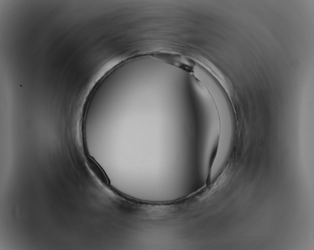 X0000087331293200705112149