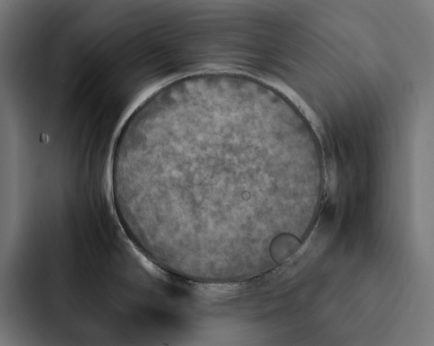 X0000087331294200705112149