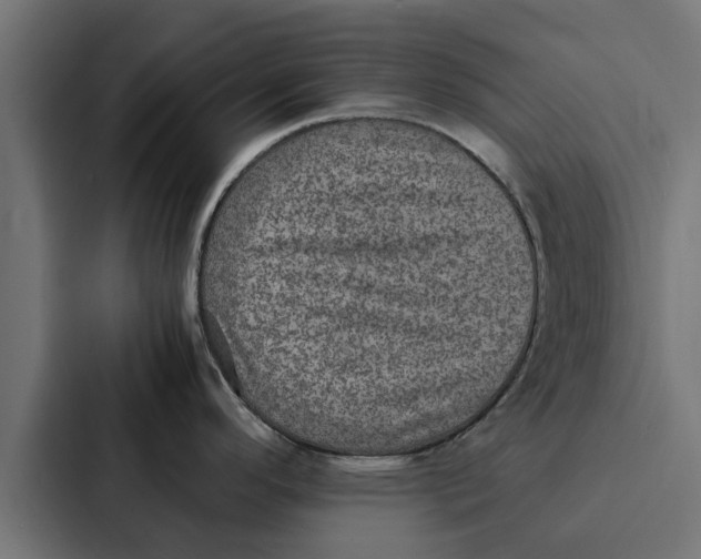 X0000087331296200705112149