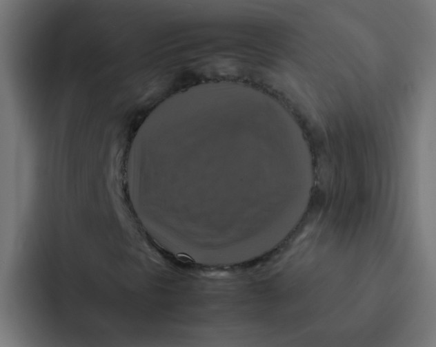 X0000087331297200705112149
