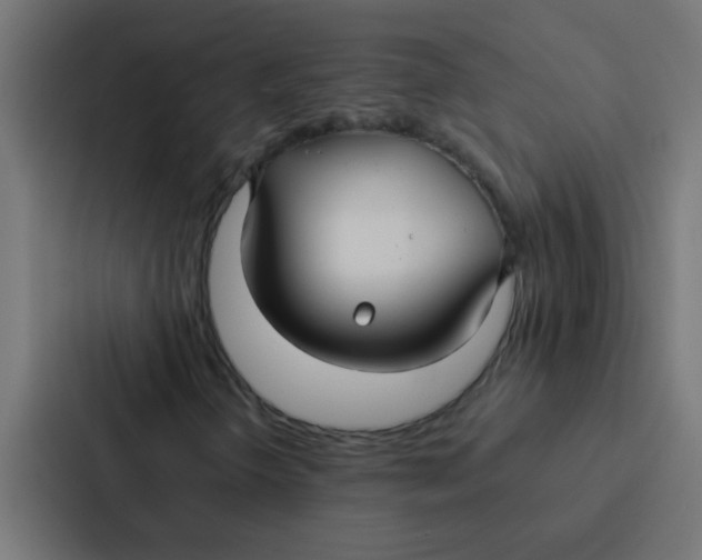 X0000087331298200705112149