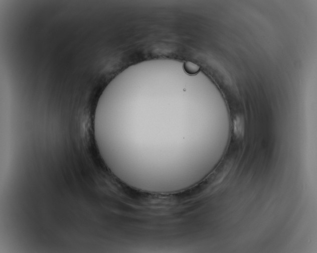 X0000087331299200705112149