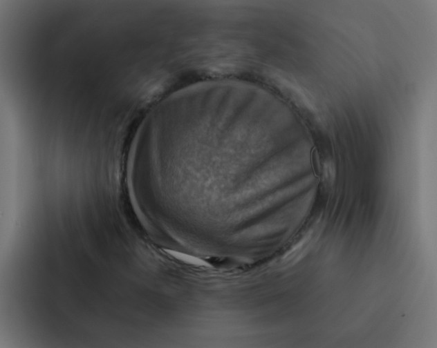 X0000087331300200705112149