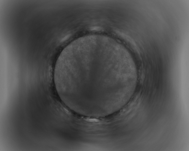 X0000087331301200705112149