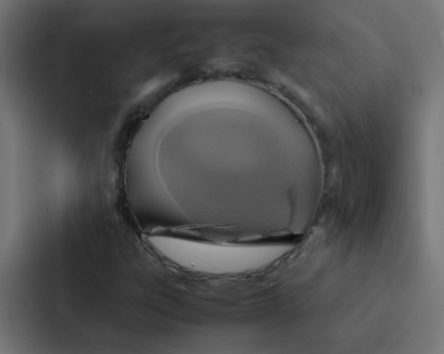 X0000087331303200705112149
